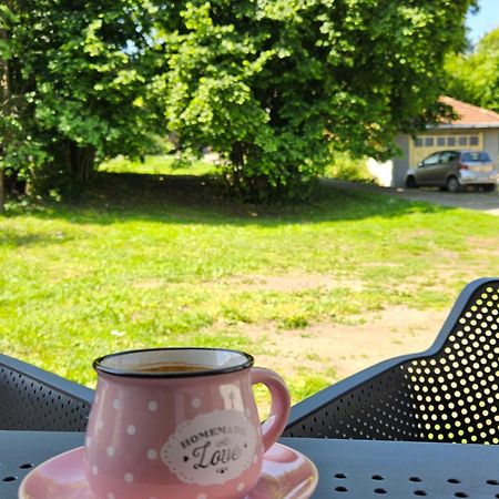 Apartment Holiday Vrnjačka Banja Dış mekan fotoğraf