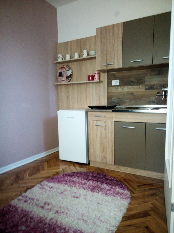 Apartment Holiday Vrnjačka Banja Dış mekan fotoğraf