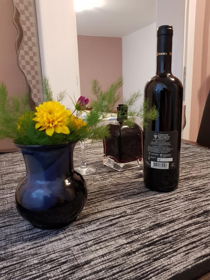 Apartment Holiday Vrnjačka Banja Dış mekan fotoğraf