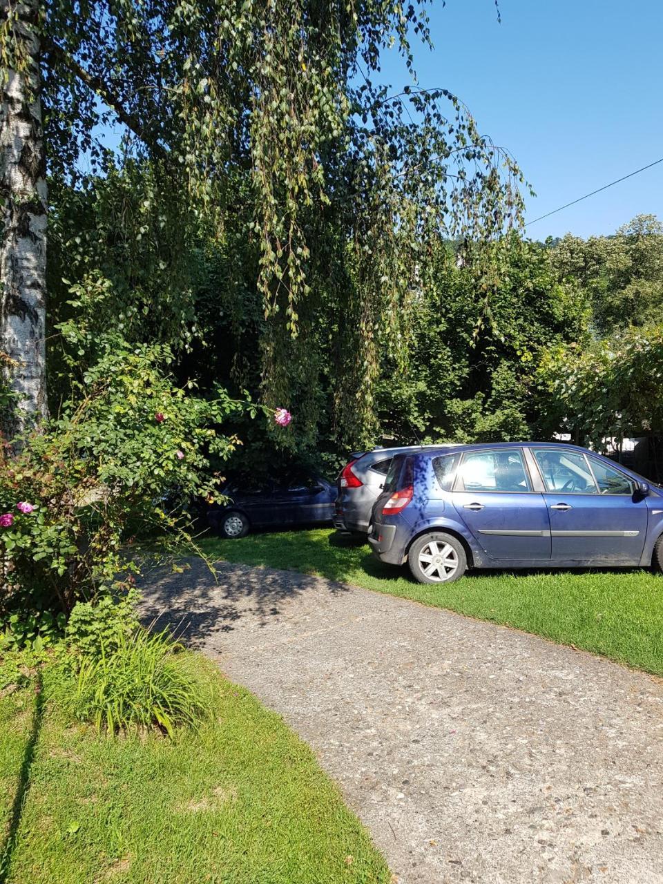 Apartment Holiday Vrnjačka Banja Dış mekan fotoğraf
